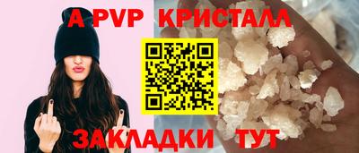 гидра Будённовск