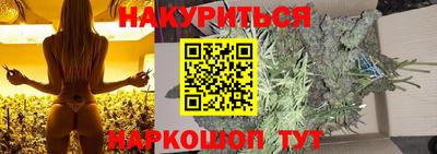 гидра Будённовск