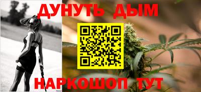 гидра Будённовск