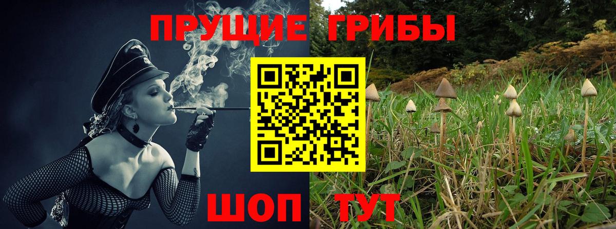 Псилоцибиновые грибы ЛСД Шумерля